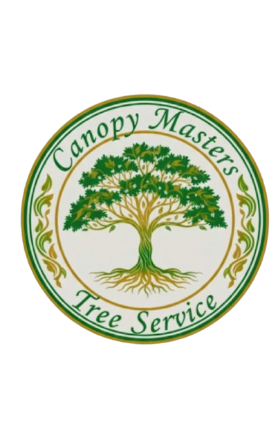 Canopy Masters Logo